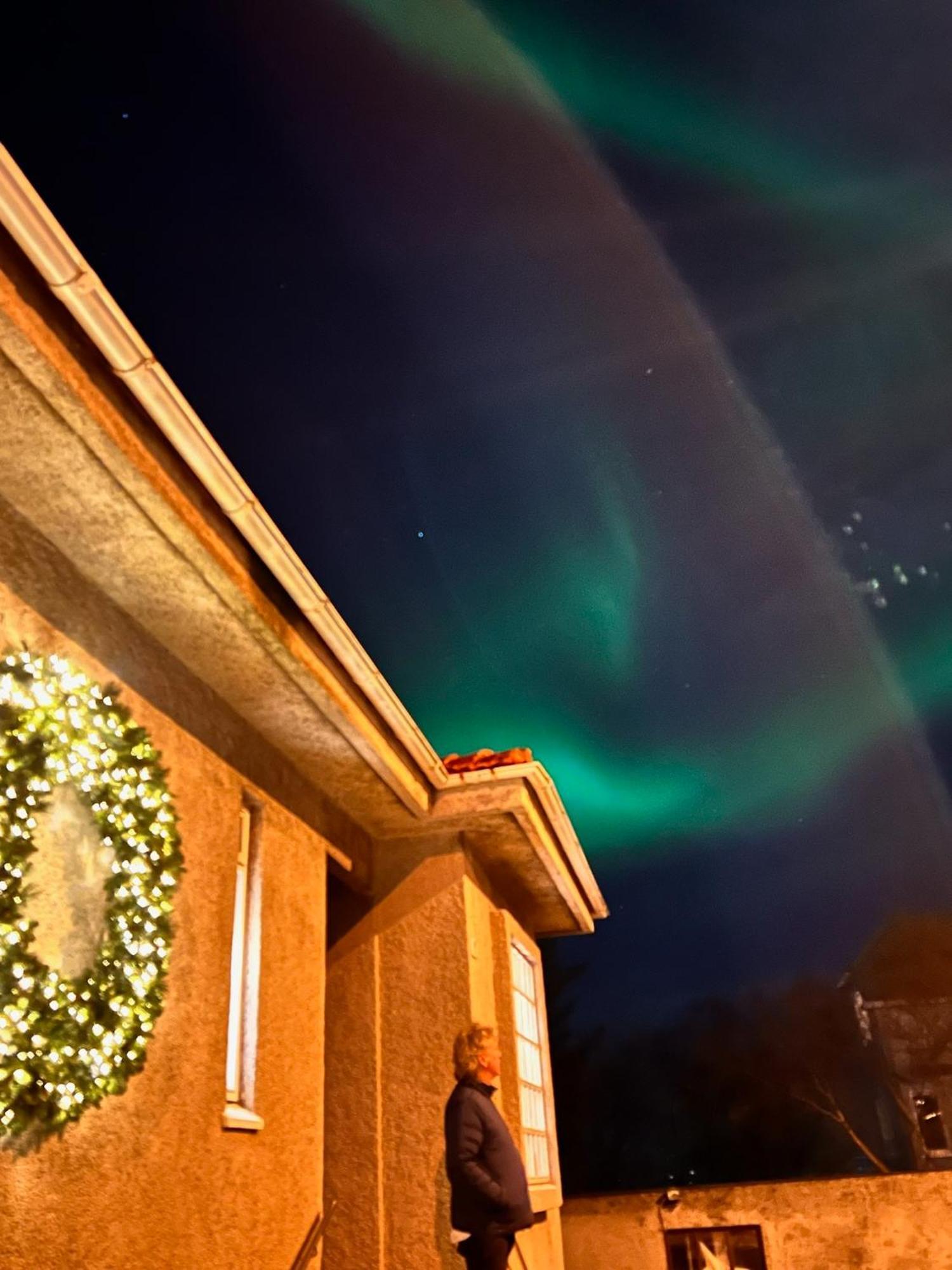 Casa Disa - Dreams, A Boutique Guesthouse In Reykjavik City'S Central Park And Botanical Garden In Laugardalur, Hot-Spring-Valley Esterno foto