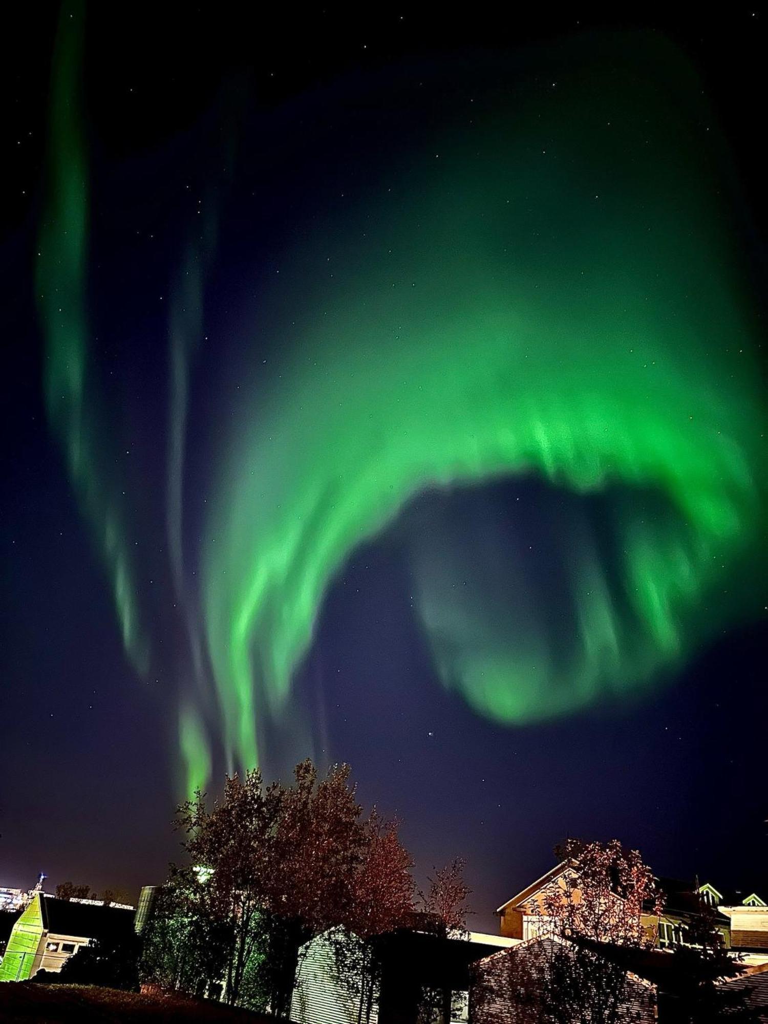 Casa Disa - Dreams, A Boutique Guesthouse In Reykjavik City'S Central Park And Botanical Garden In Laugardalur, Hot-Spring-Valley Esterno foto