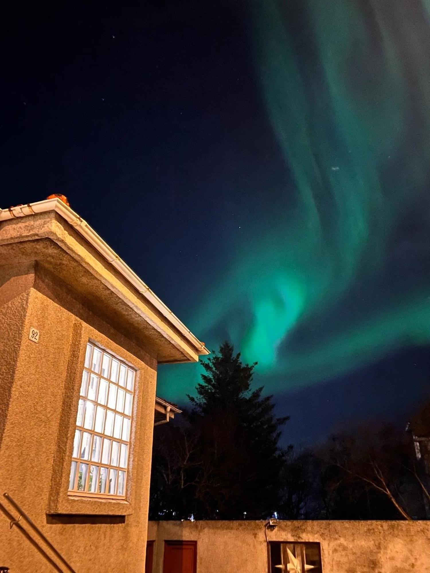 Casa Disa - Dreams, A Boutique Guesthouse In Reykjavik City'S Central Park And Botanical Garden In Laugardalur, Hot-Spring-Valley Esterno foto